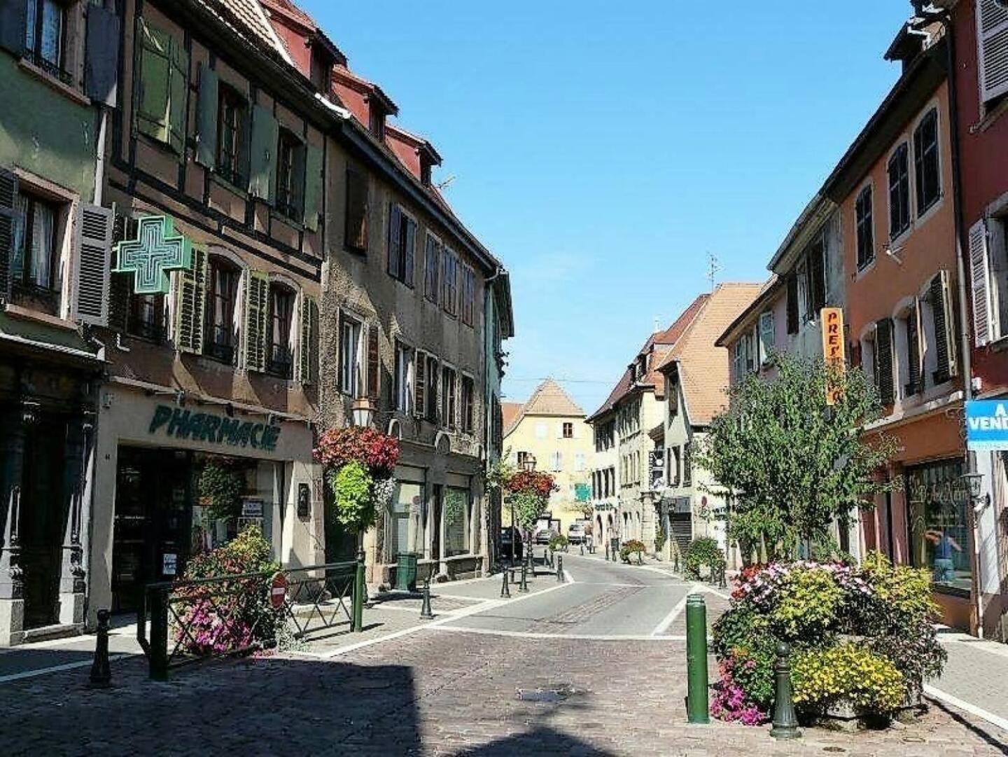 Gite La Clematite Soultz-Haut-Rhin Extérieur photo